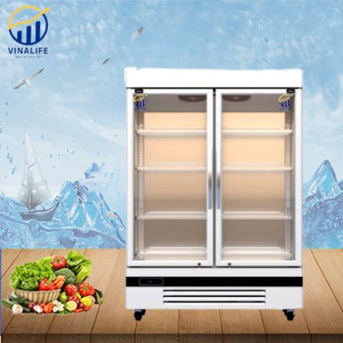 Tủ Mát Đứng Quạt Gió&nbsp; 2 Cánh Kính&nbsp;