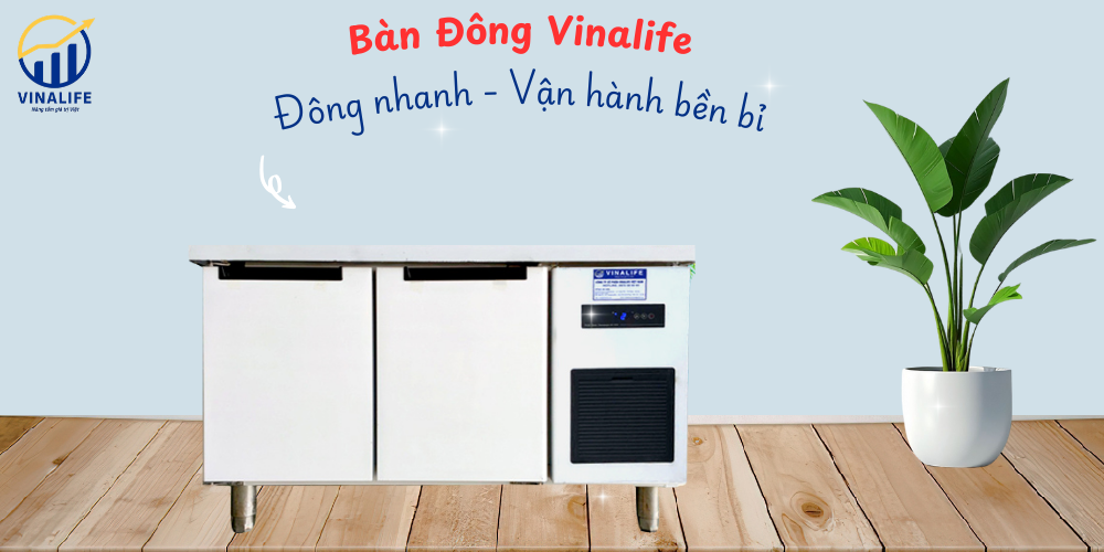 Tủ Đông Bàn Chặt